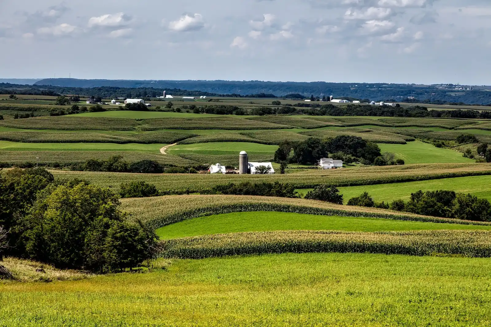 Rolling Iowa farmland with contoured corn and hay fields and a white farmstead and silo below a wooded ridge